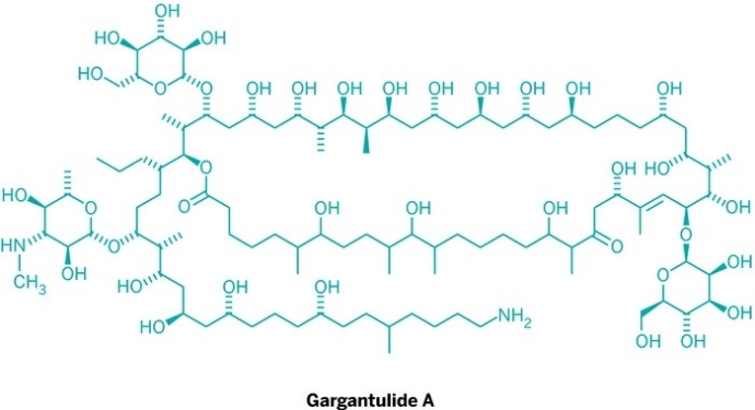 20150311lnp2-gargantulide
